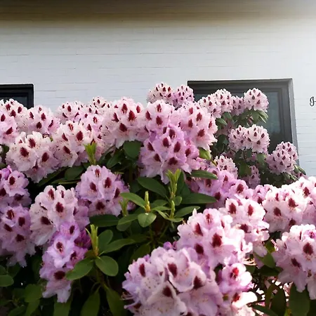 Haus Meereswind Esens, Wintergarten Mit Kamin Appartamento